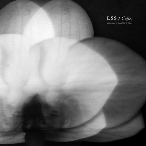 Calyx