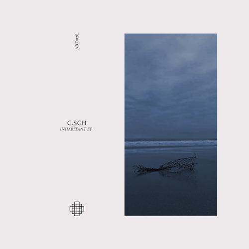 Surface (Original Mix)