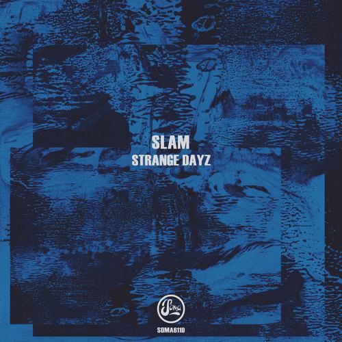 Strange Dayz 