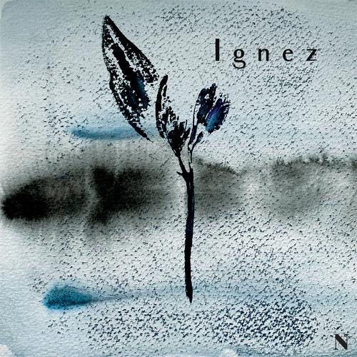 Nachtblumen Podcast #14 Ignez