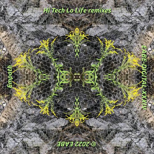 Hi Tech Lo Life Remixes