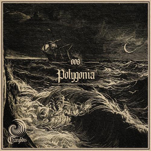Circulating Waves #008 - Polygonia