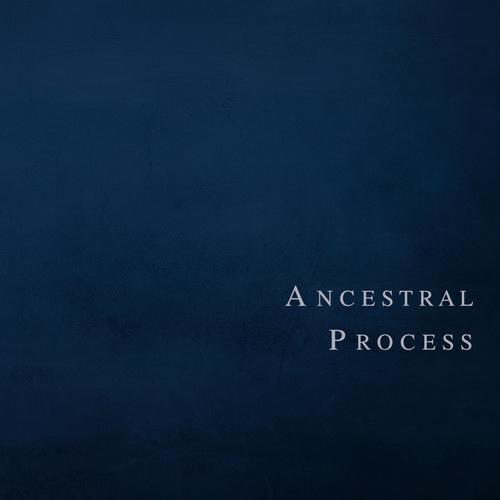 Ancestral Process