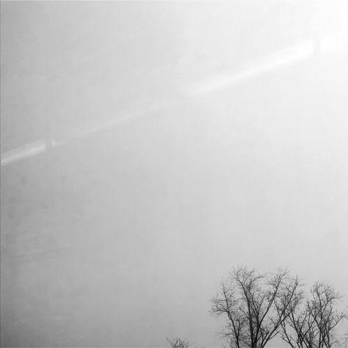 Sam Wilson - Away