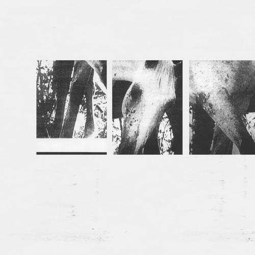 JK Flesh - Veneer of Tolerance Remixes