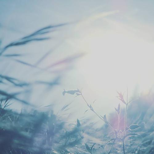 Healing Energies