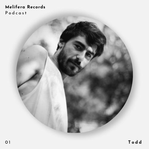 Melifera Podcast 01 | Todd