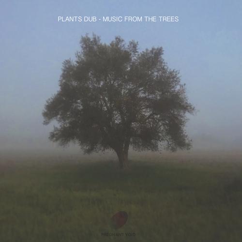 Music From The Trees