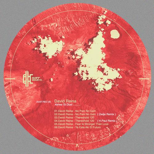 David Reina - Ashes To Dust