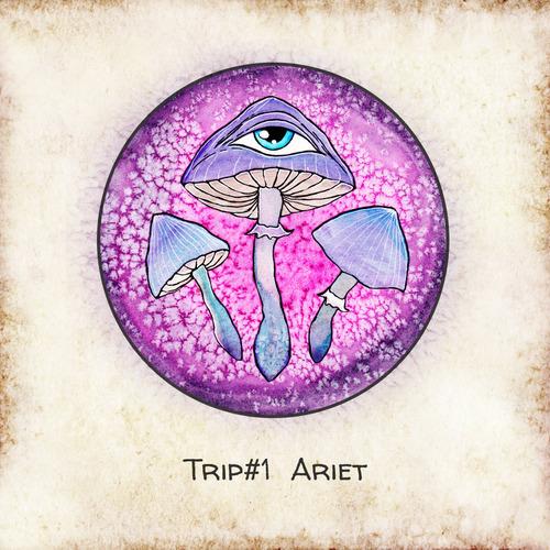 Trip#1: Ariet