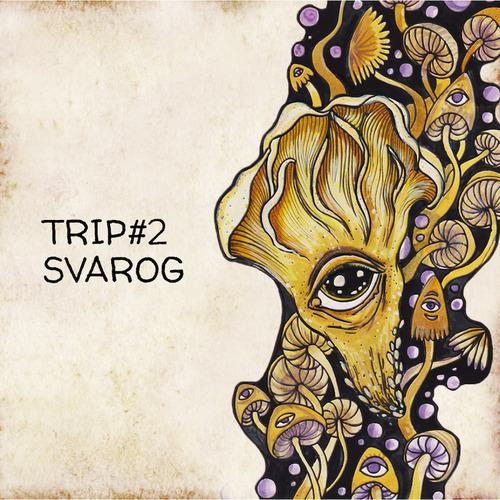 Trip#2: Svarog