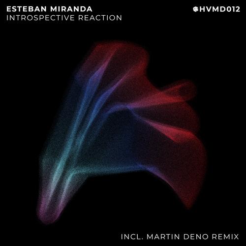 Introspective Reaction (Incl. Martin Deno Remix)