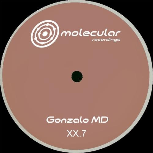 XX 7 A2 [MOLXX7D]