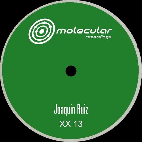 XX 13 A1 [MOLXX13D]