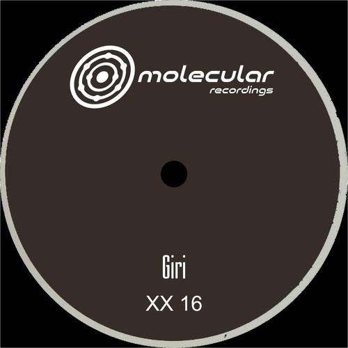 XX 16 B2 [MOLXX16D]