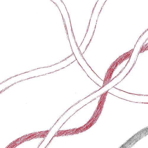 Nida. SEMANTICA 117