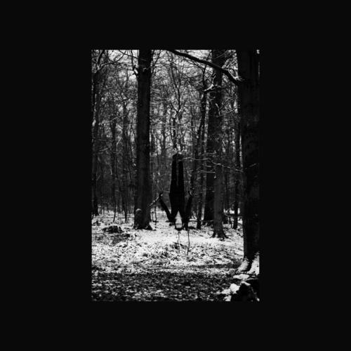 Obscur. SEMANTICA 18