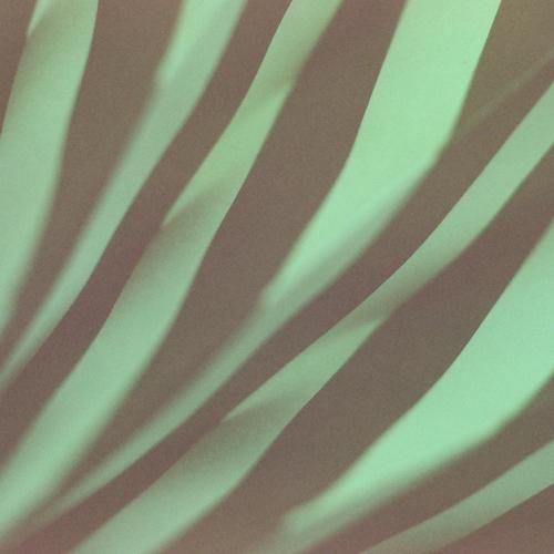Zeeman Effect. SEMANTICA 185