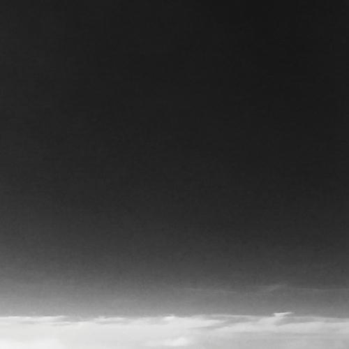 Untitled 12