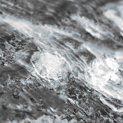 The Seed