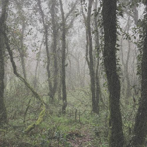 36º01´52¨N
