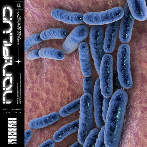 Prokaryota EP