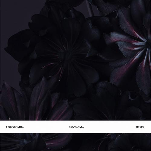 Fantasma (Original Mix)