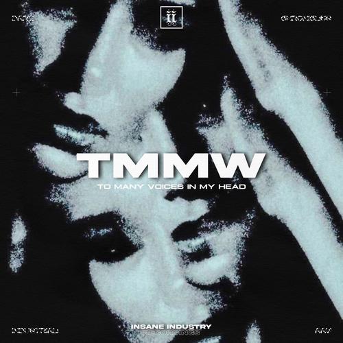 To Many Voices In My Head (Original Mix)