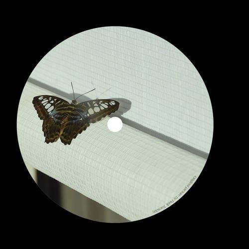 Mnestic 001 12"