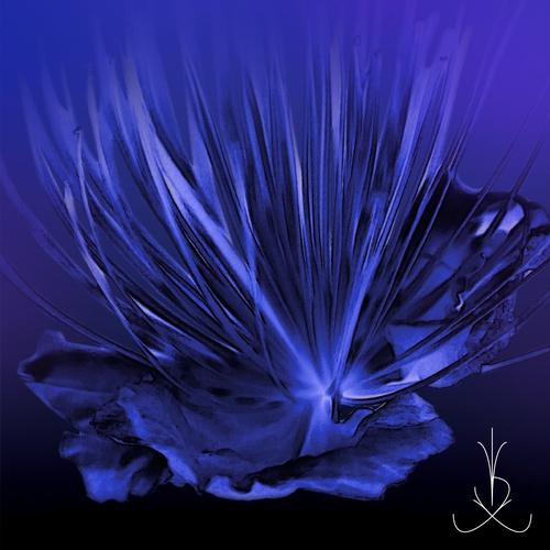 Zulu Marimbou (Tool)