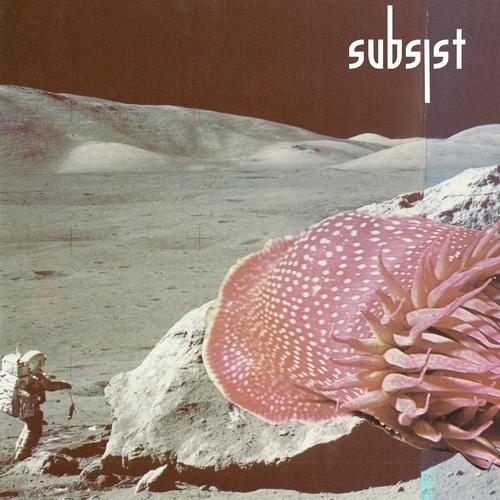 SUBSIST.75D - Translate - Beyond Universes