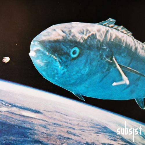 SUBSIST​.​135D - Another World