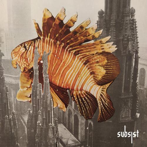  SUBSIST.136D - Introspective Trip