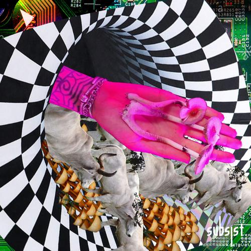 SUBSIST.139D - Escape from Reality