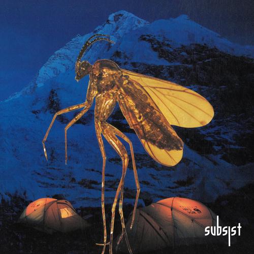SUBSIST.221D  -  Lament