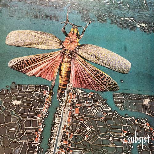SUBSIST.215D Salvatore Foglia & AM.MA - Clathurus Cancellatus 