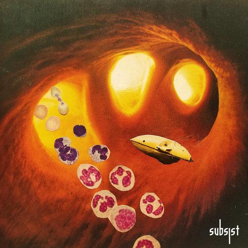 SUBSIST.214D - Inside my Acid Wonderland_MST