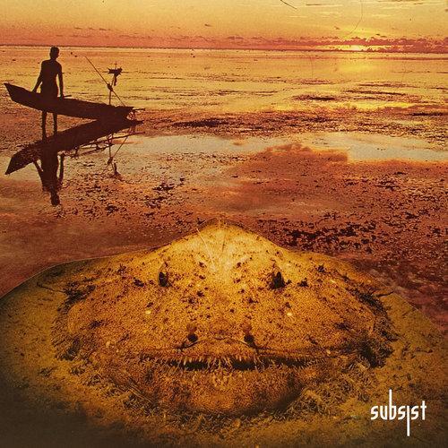 SUBSIST.211D - Caja Toracica EP