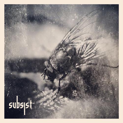 S_LTD01 