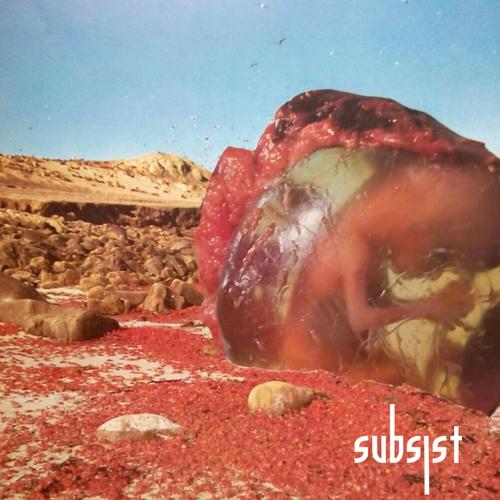 SUBSIST.108D - Black Shadows EP