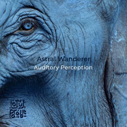 EP_Auditory Perception