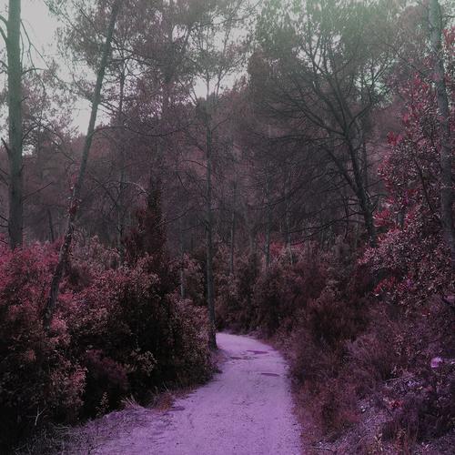 Articulate EP