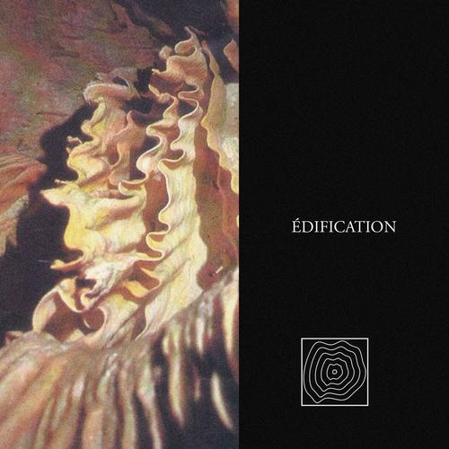 Edification