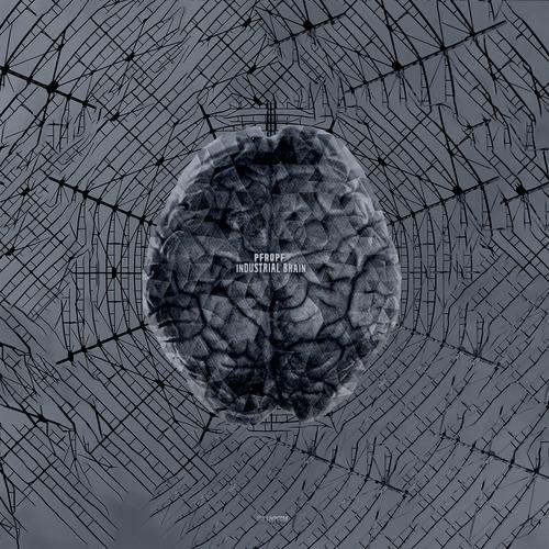 Industrial Brain