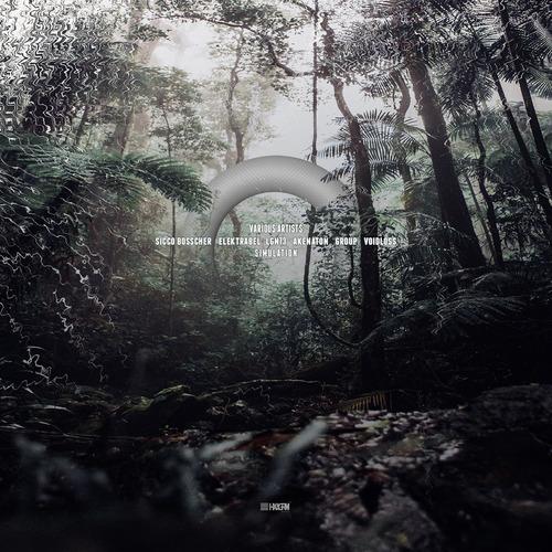 Convulsion Dream