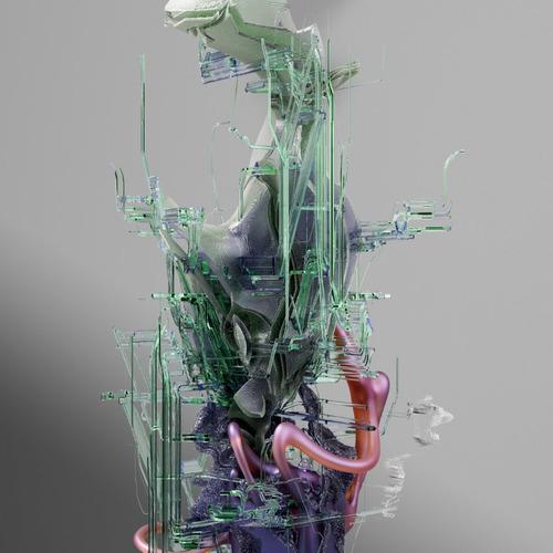 The Body Protocol (Lp)