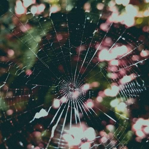 Perfect Errors (Ep)