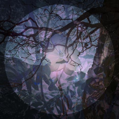 Ryft - Sýn