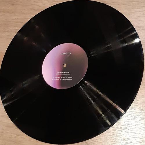 12" Vinyl - Terraforming memory