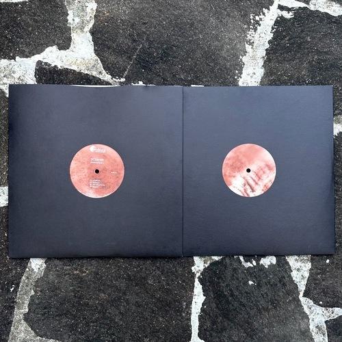 Sciahri - Pareidolia I 12"